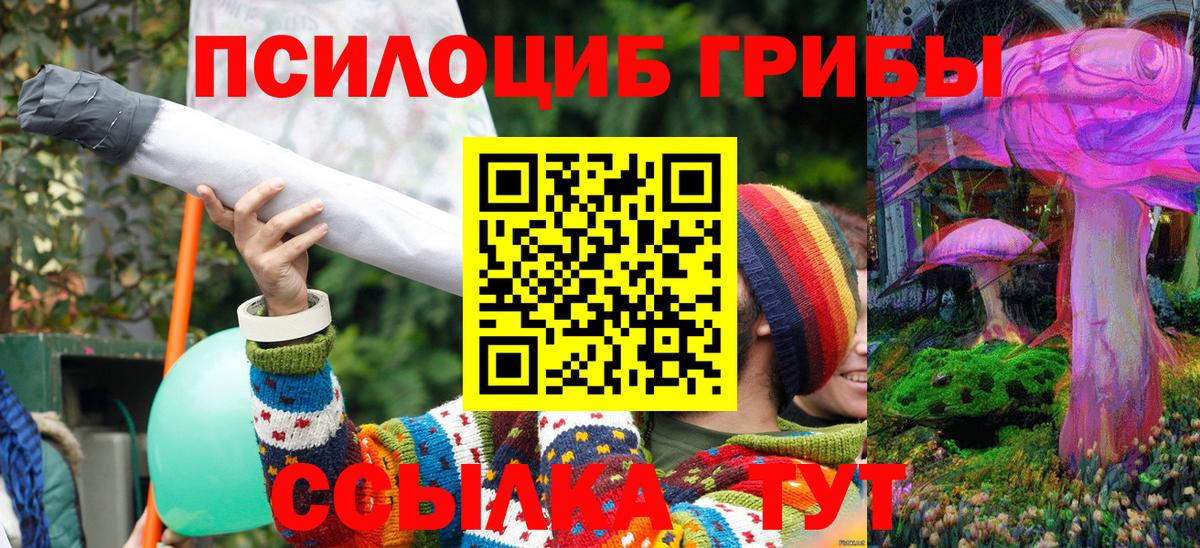 Псилоцибиновые грибы ЛСД  где купить наркоту  Вход с VPN  Старый Оскол  Псилоцибиновые грибы Psilocybine cubensis 